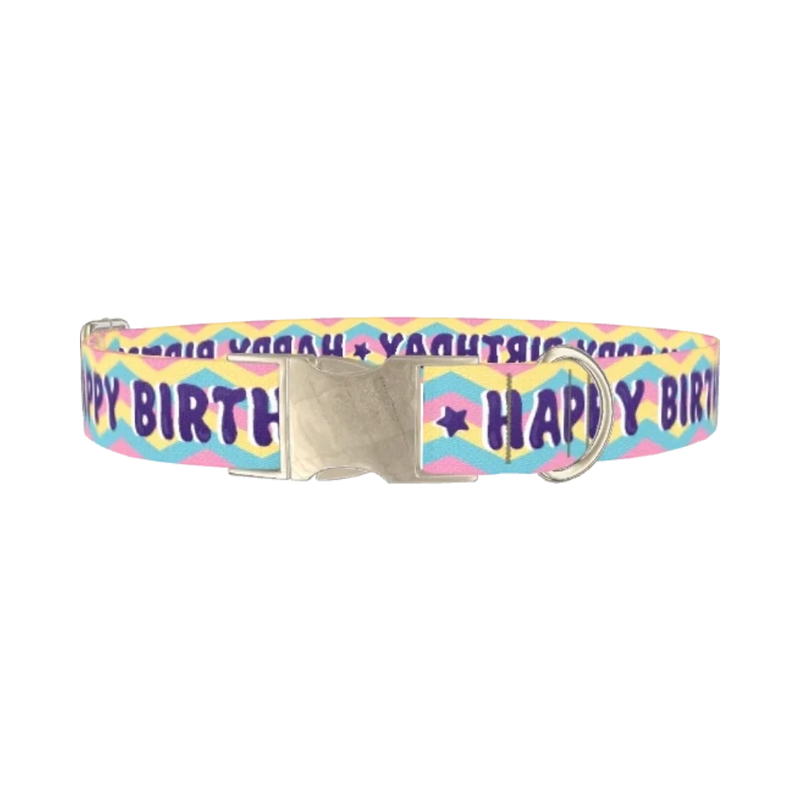 Birthday Chevron Dog Collar - metal silver