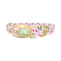 Christmas Berries Dog Collar - plastic gold