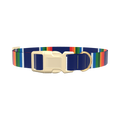 Woven Rainbow Stripe Dog Collar - plastic silver