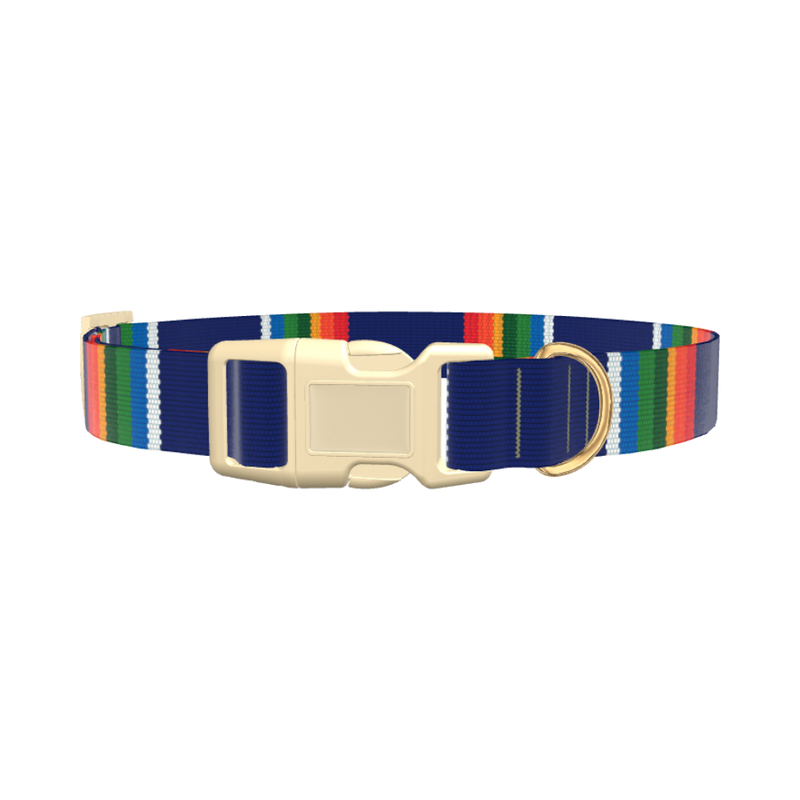 Woven Rainbow Stripe Dog Collar - plastic silver