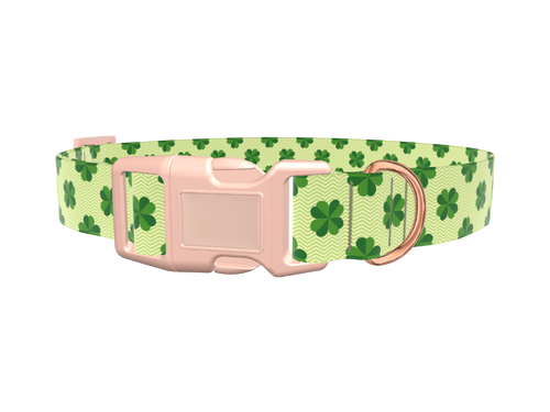 Clover Chevron Dog Collar
