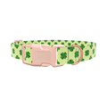 Clover Chevron Dog Collar - plastic gold