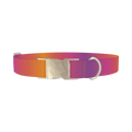 Gradient Pattern Dog Collar - metal silver