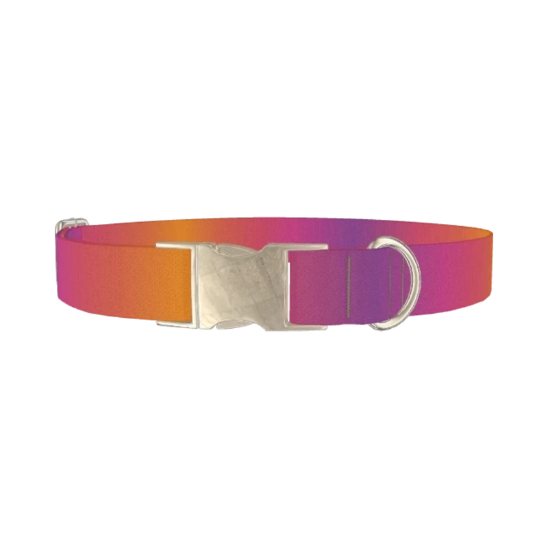 Gradient Pattern Dog Collar - metal silver