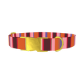 Warm Stripe Dog Collar - metal gold