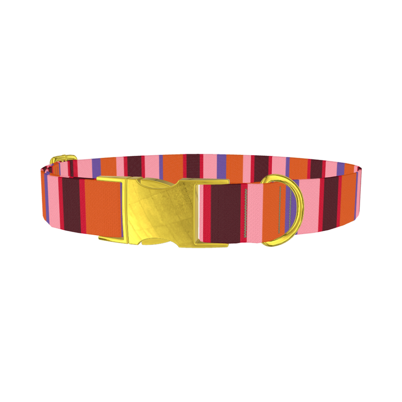 Warm Stripe Dog Collar - metal gold