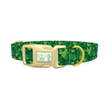 St Patrick's Clover Dog Collar - plastic gold