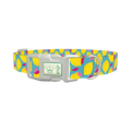 Lemon Fruit Dog Collar - plastic silver