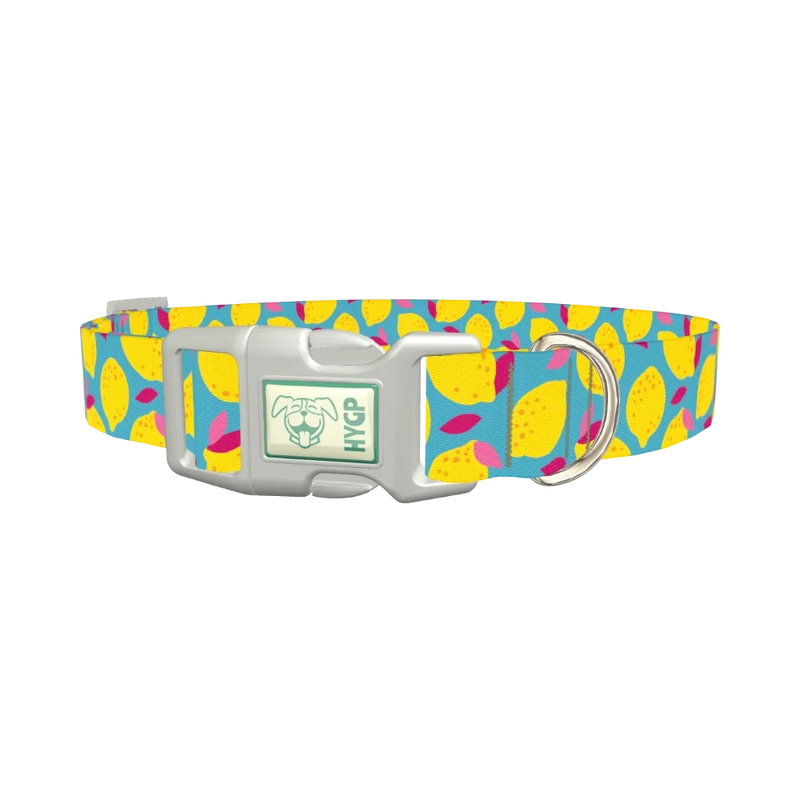 Lemon Fruit Dog Collar - plastic silver