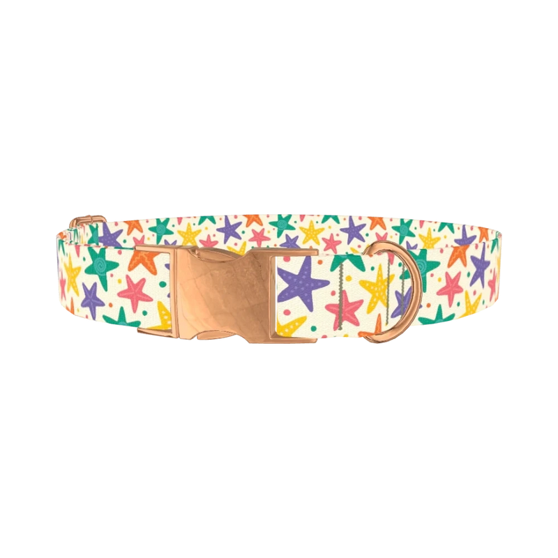Starfish Mix Dog Collar - metal rose gold