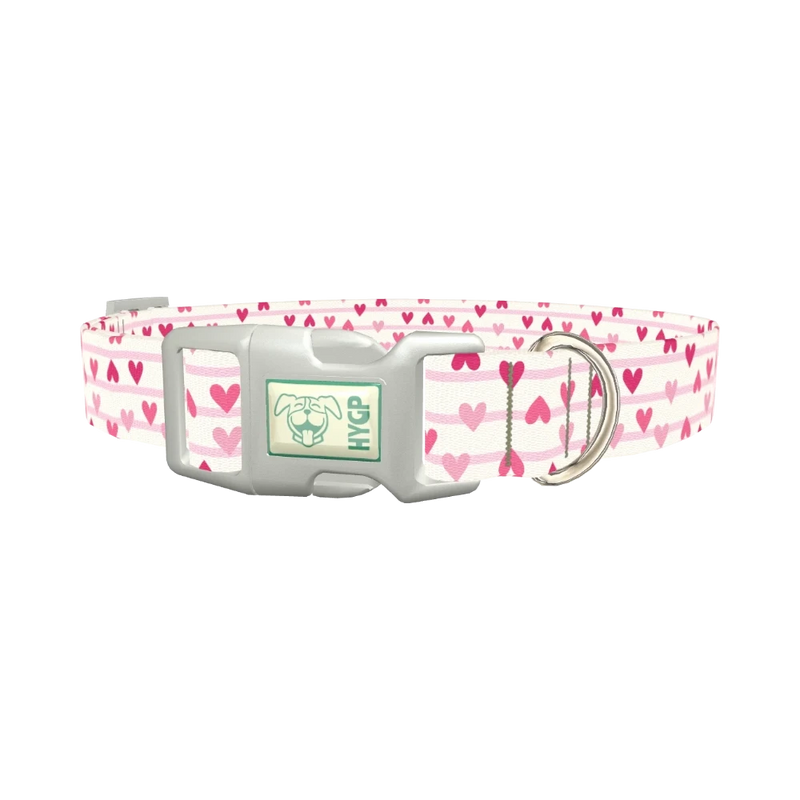 Striped Heart Dog Collar - plastic silver