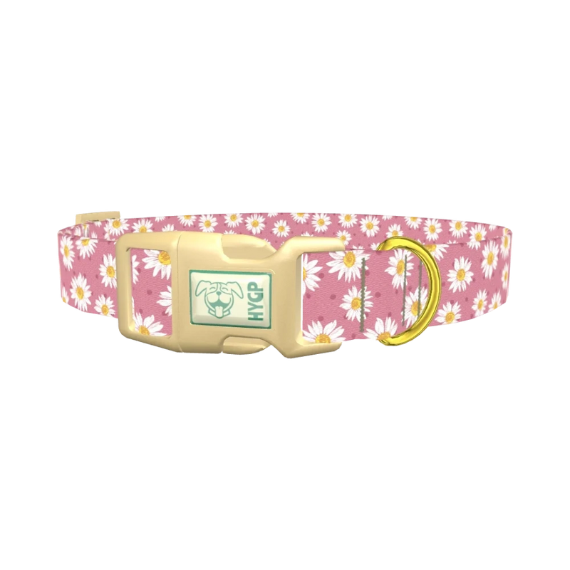 Pink Daisy Dog Collar - plastic gold