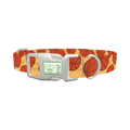Basketball Sport Dog Collar - plastic silver