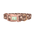 Floral Coffee Dog Collar - plastic rose gold