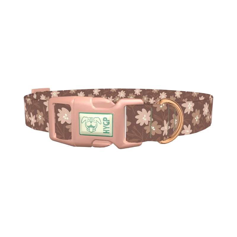Floral Coffee Dog Collar - plastic rose gold