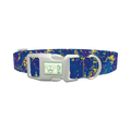 Abstract Blue Paint Dog Collar - plastic silver
