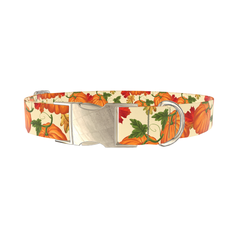 Autumn Pumpkin Dog Collar - metal silver