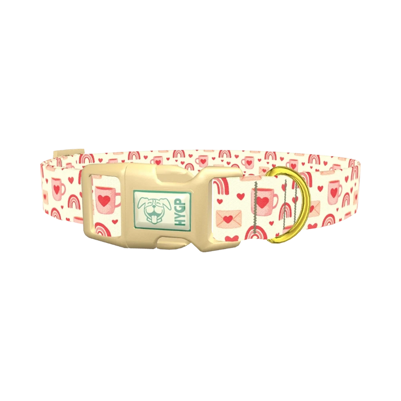 Valentine Mug and Envelope Dog Collar - plastic gold