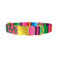 Mexican Floral Stripe Dog Collar - metal gold