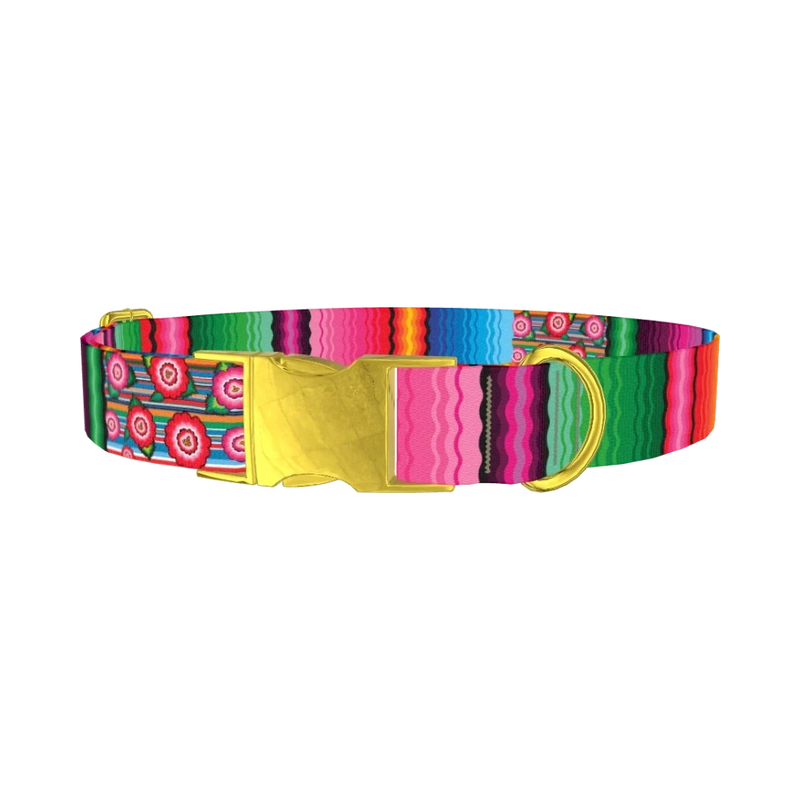 Mexican Floral Stripe Dog Collar - metal gold