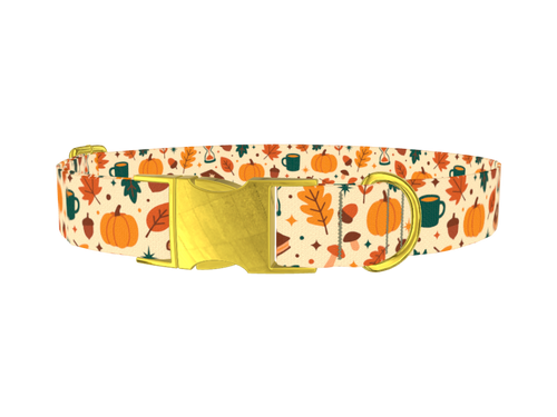 Cozy Fall Dog Collar