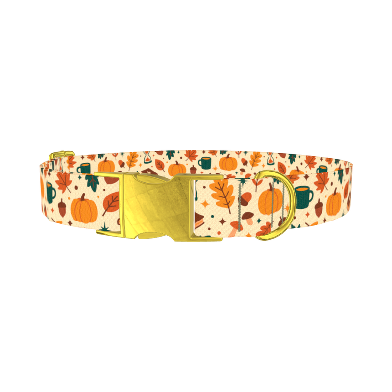 Cozy Fall Dog Collar - metal gold