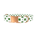 Dotted Clover Dog Collar - metal silver