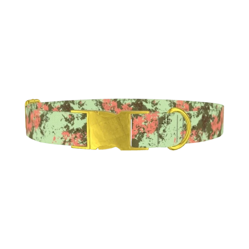 Paint Splatter Dog Collar - metal gold