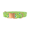 St. Patrick's Day Gnome Dog Collar - metal silver