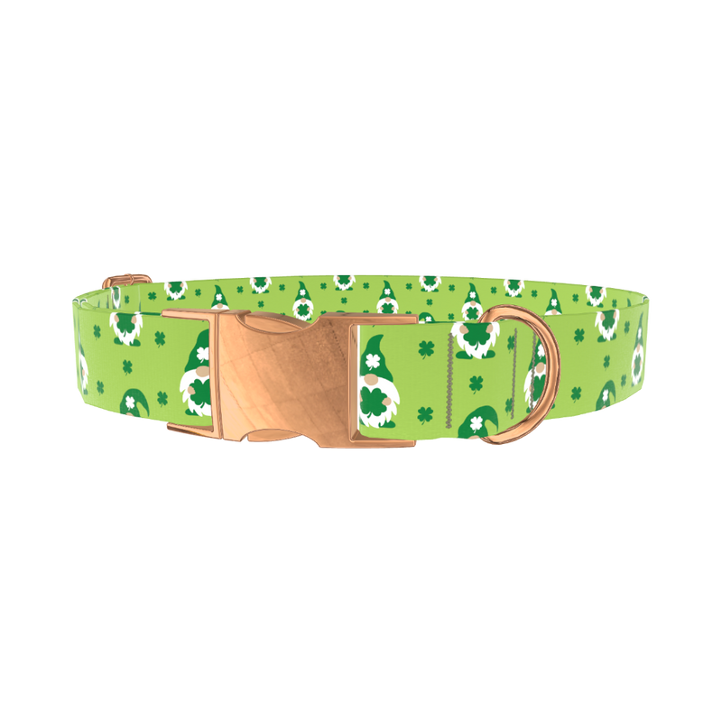 St. Patrick's Day Gnome Dog Collar - metal silver