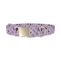 Halloween Witchy Mirror Dog Collar - metal silver