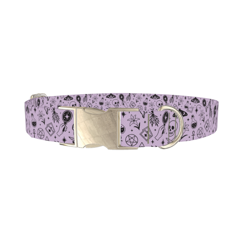 Halloween Witchy Mirror Dog Collar - metal silver