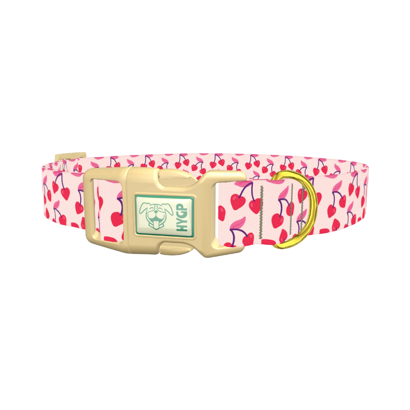 Heart Cherry Dog Collar - plastic gold