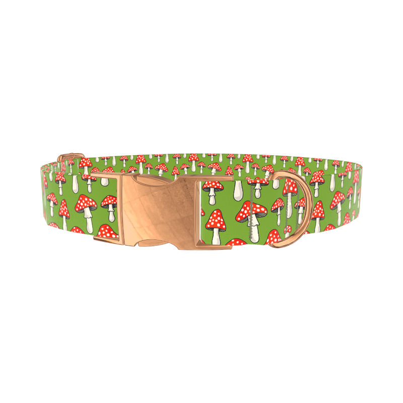 Fly Agaric Mushroom Dog Collar - metal silver