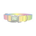 Pastel Gradient Dog Collar - plastic silver