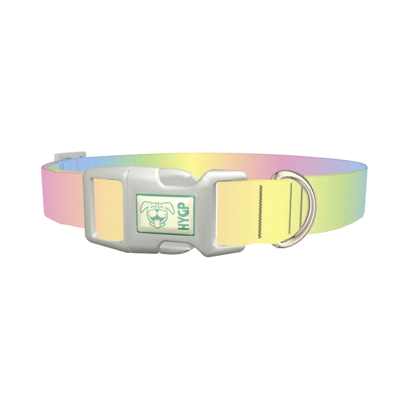 Pastel Gradient Dog Collar - plastic silver
