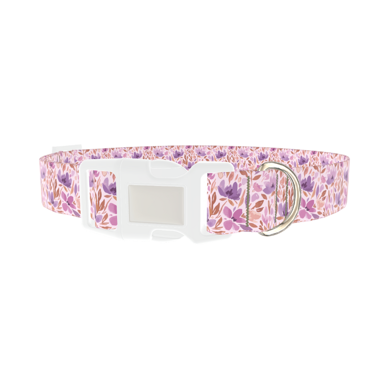 Watercolor Floral Dog Collar - plastic silver