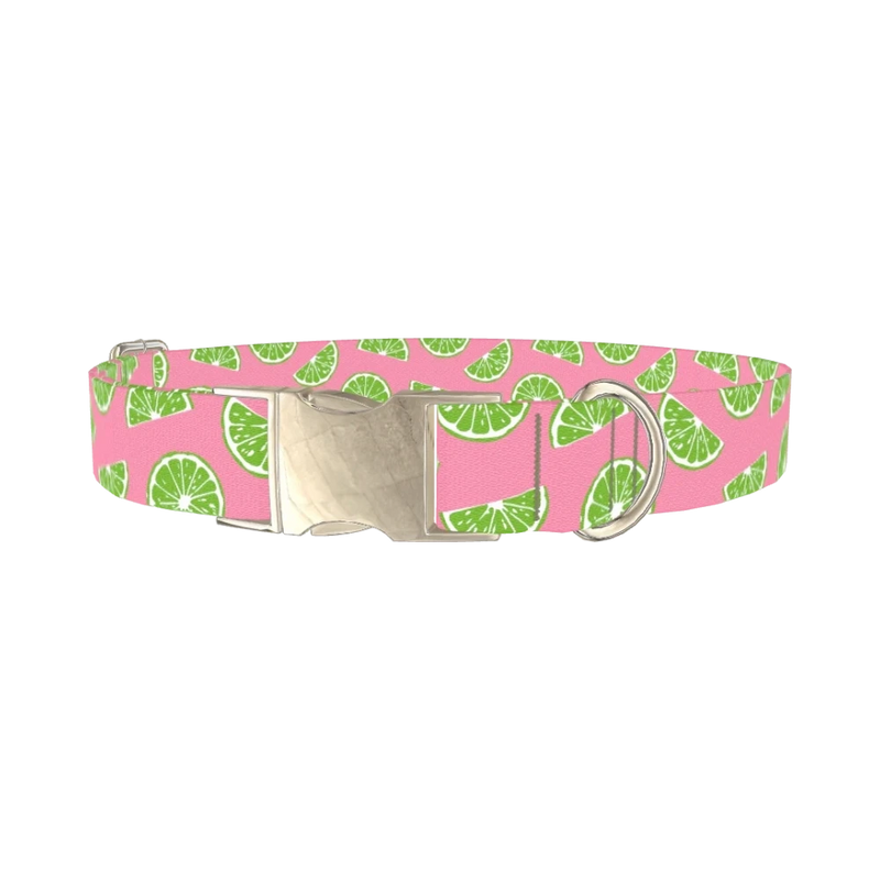 Pink Citrus Dog Collar - metal silver