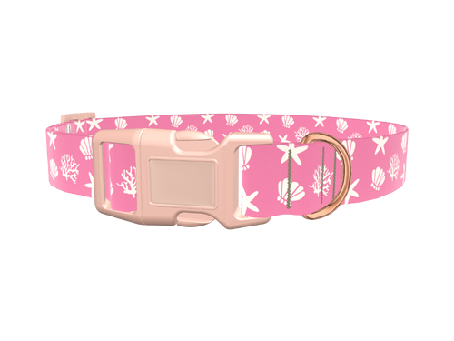 Seashell Beach Dog Collar