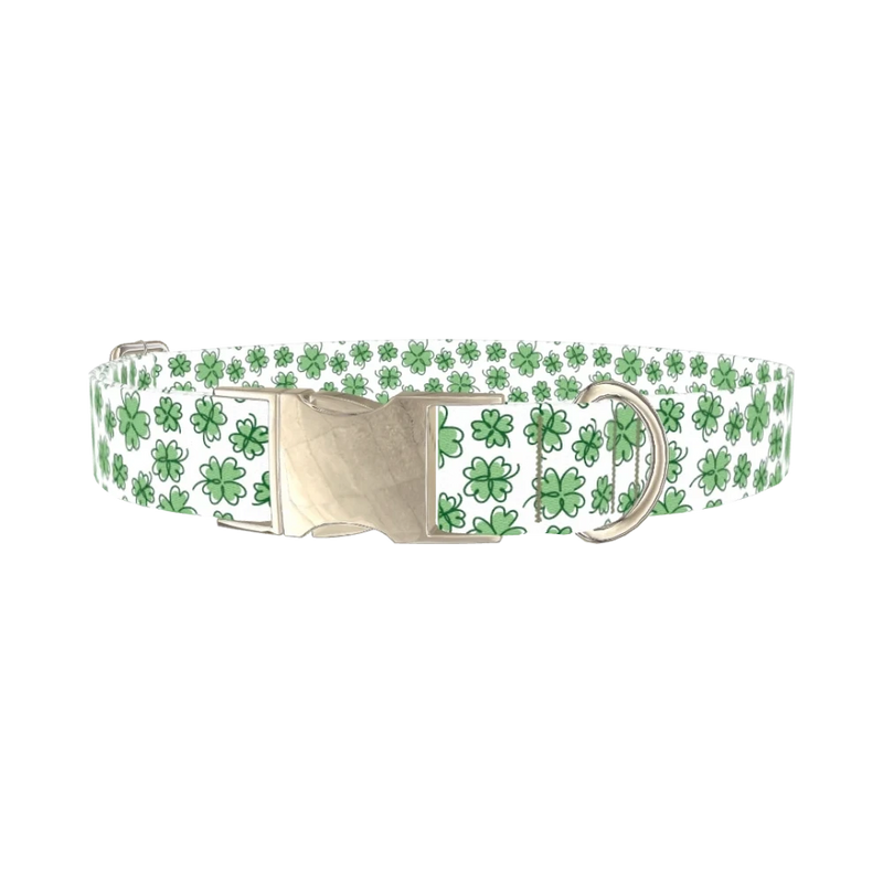 Green Clover Dog Collar - metal silver