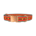 Retro Arrow Stripe Dog Collar - metal rose gold