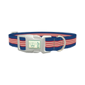Navy Red Stripe Dog Collar - plastic silver