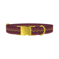 Multicolor Zigzag Dog Collar - metal gold
