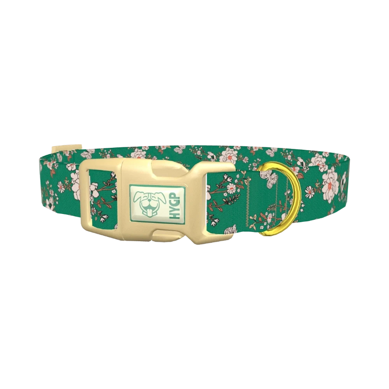 Floral Butterfly Dog Collar - plastic gold