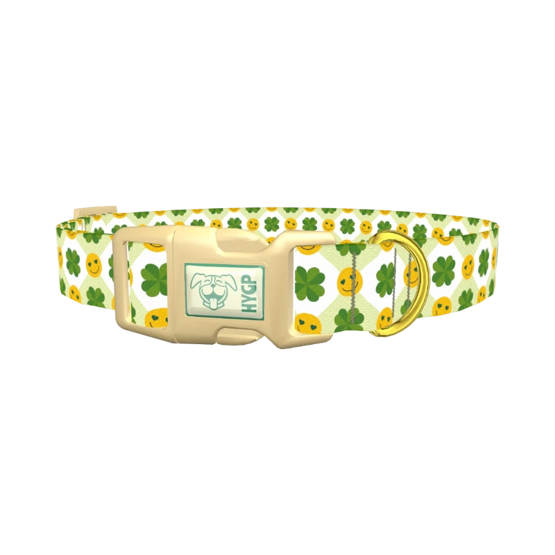 St. Patrick's Smiley Dog Collar - plastic gold