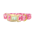Pink Paint Splatter Dog Collar - plastic gold