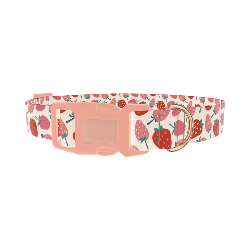 Pink Strawberry Pattern Dog Collar - plastic rose gold
