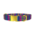 Colorful Dual Stripe Dog Collar - metal gold