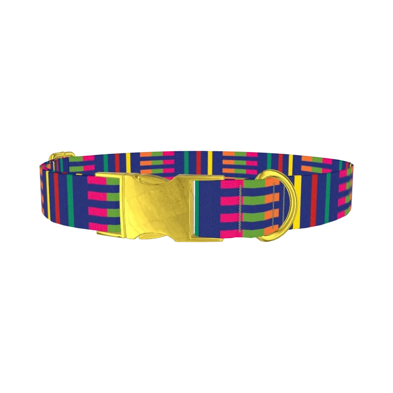 Colorful Dual Stripe Dog Collar - metal gold