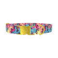 Abstract Paint Splatter Dog Collar - metal gold